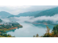 皖北魅力之旅：阜陽深度游三日攻略