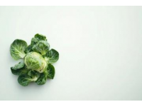 江蘇寶應(yīng)黑菜的神秘起源及其獨特魅力