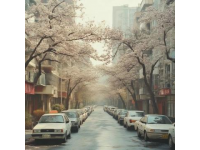 杭州秋日最美9條道路推薦，不容錯過的賞秋打卡地