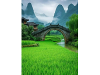 揭秘你不知道的廣西冷門知識