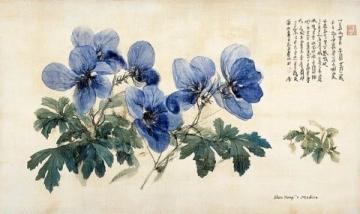崇明宅溝之三花小絮~日常27