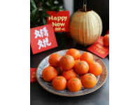 新年吉祥食譜：四道招財(cái)進(jìn)寶佳肴，喜迎財(cái)富與幸福