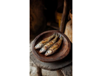 美食探索者：熱愛生活的烤魚狂熱愛好者