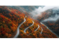 黃花山國家森林公園