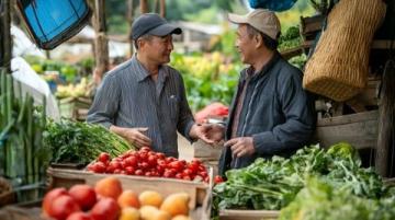 冰川雪水澆灌的高端茄子:揭秘大理、麗江與迪慶的神秘產(chǎn)地