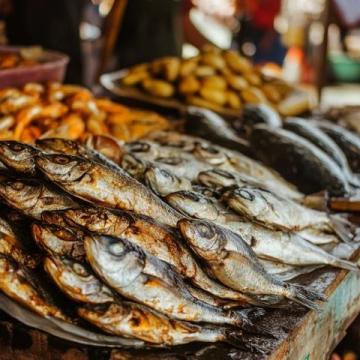你知道嗎?金鯧魚的蛋白質(zhì)含量竟高達每100克15.6克!