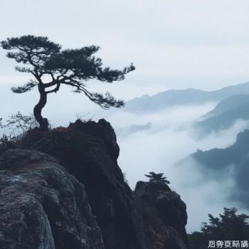 朔州游必嘗:應縣木塔與特色涼粉之旅