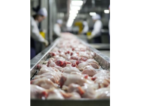 雅安壇子肉新制教程：從煉油到冷藏的詳細制作過程揭秘
