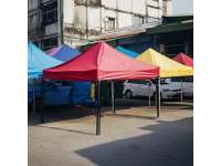 儒林街臨時農貿市場又要發生一場大亂了
