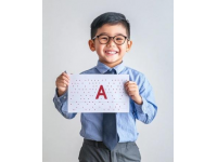 盧姨揭秘：如何輕松通關24年小學綜合素質考試