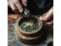 春日必嘗：榆錢的多樣吃法與創(chuàng)意烹飪技巧
