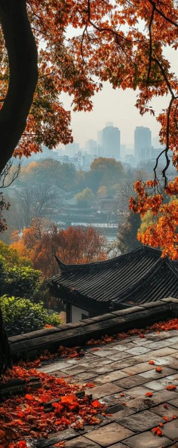 10月收官了，昨早出門，今天晚飯前到家了,揚州2日游吧