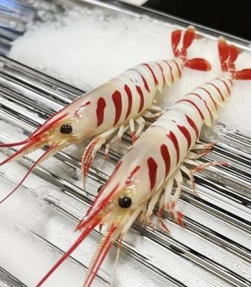 在周水前劉大龍蝦店的美食體驗(yàn):小龍蝦、烤串與榴蓮盛宴