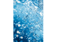 武漢碳水狂想曲24小時暴走舌尖江湖，揭開九頭鳥的饕餮密碼武漢美食新篇章
