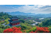 最新版！普陀山自由行攻略，吃住行玩一網打盡！