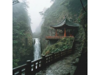 峨眉山：山水間的慢生活與咖啡香