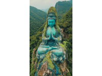 福建佛跳墻：閩味經(jīng)典，千年傳承與創(chuàng)新相融合