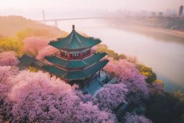 四日三夜武漢賞櫻游:暢游各大精華景點攻略