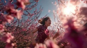 西藏林芝:遇見中國最美的春天 ??? ?? ??