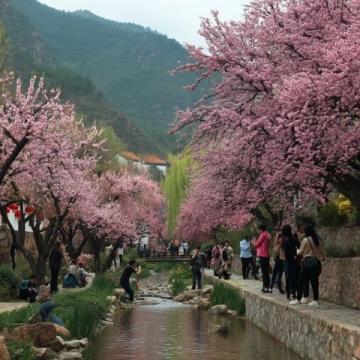 鞍山兩日游深度體驗指南 - 探訪春意盎然的城市景觀與人文歷史