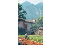 探訪廣西之美：不止桂林，發現更多風情