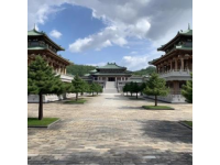 一年的空虛時間，讓我再次實現了重游咸陽市的夢想