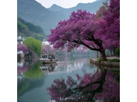 探索云南春季之旅：詳盡攻略解鎖鮮花盛開的秘密