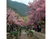 鞍山兩日游深度體驗(yàn)指南 - 探訪春意盎然的城市景觀與人文歷史
