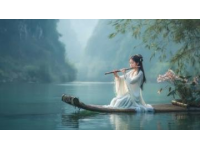 廈門之旅：海風輕拂，繁花伴行，筼筜湖畔白鷺飛舞