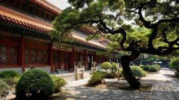 杭州美食之旅：品味西湖醋魚、龍井蝦仁的江南風(fēng)味