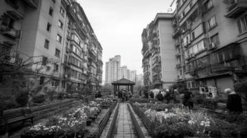 都市生活的魅力與壓力:光鮮背后的真實圖景