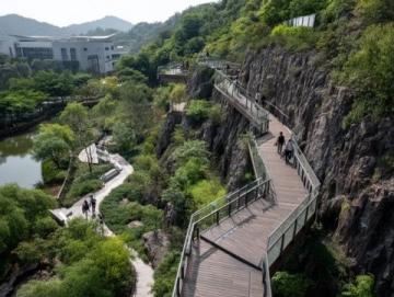 闖進四川合江福寶,邂逅隱匿的綠野仙蹤