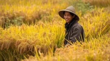舌尖上的中國：美食之旅