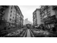 都市生活的魅力與壓力：光鮮背后的真實圖景