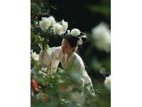 農家春味濃，野菜香滿園，城里售價翻倍貴