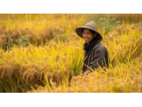舌尖上的中國：美食之旅