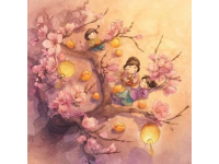 大家好，我是老袁,沙湖公園賞梅攻略附免費打卡點+周邊玩法，一鍵收藏！