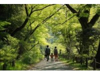 全國五大踏青公園推薦，解鎖春日親子樂趣之旅