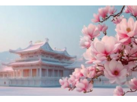 金川梨花自駕游詳解指南 | 解鎖絕美賞花之旅