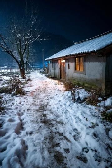 煙臺招遠(yuǎn),冬至將至,入冬之后的兩場降雪,路邊的菊花傲視風(fēng)雪的姿態(tài)。