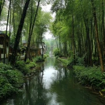 一探杭州西溪濕地魅力,顛覆你對景點(diǎn)的認(rèn)知