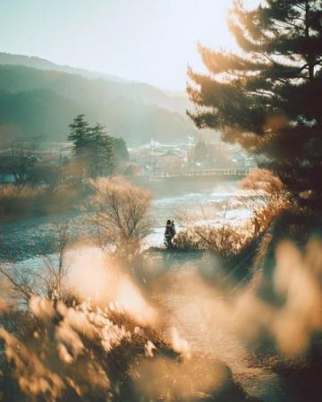 煙臺招遠(yuǎn),冬至將至,入冬之后的兩場降雪,路邊的菊花傲視風(fēng)雪的姿態(tài)。