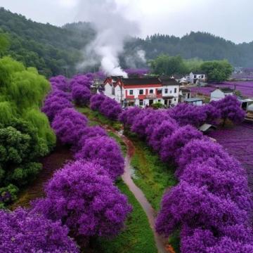 五一假期國內外熱門旅游目的地推薦