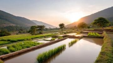 云南旅行攻略：如何巧妙規劃你的行程