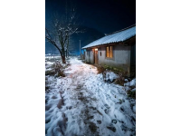 煙臺招遠(yuǎn)，冬至將至，入冬之后的兩場降雪，路邊的菊花傲視風(fēng)雪的姿態(tài)。