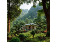 廣東觀音山國家森林公園位于中國南端