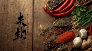 印度美食適應力揭秘:同食異物,中外反應大不同!