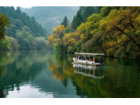西鄉櫻桃溝位于陜西省漢中市西鄉縣，是一個以櫻桃種植和生態旅游為特色的景區