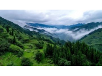 與生活息息相關(guān)的財(cái)務(wù)賬戶