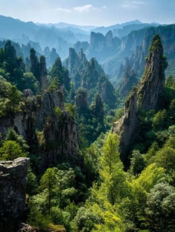 秦嶺徒步探險:鍋坑梁美景與路線指南